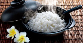 Top 4 loại gạo Việt Nam nên lựa chọn cho những bữa cơm gia đình thêm ngon