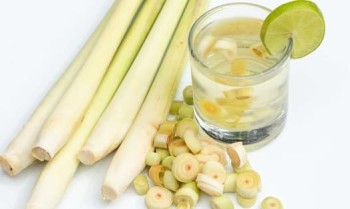 Những Tác Dụng Bất Ngờ Từ Củ Sả Đối Với Sức Khỏe Mà Nhiều Người Chưa Biết