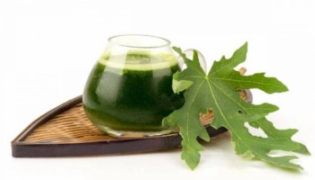 Nước lá đu đủ và sả: Thức uống thảo mộc dân gian, lợi ích tiềm năng và những lưu ý khi sử dụng