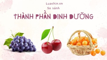 So sánh thành phần dinh dưỡng của trái tầm bóp với cherry và nho – Loại trái cây nào giàu dưỡng chất hơn?