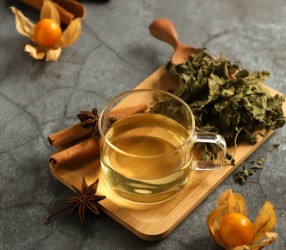 Trà lá tầm bóp là gì? Trà lá tầm bóp có tác dụng gì? Những ai nên mua?