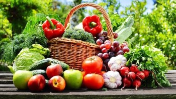Lý do nên chọn mua các loại trái cây hữu cơ