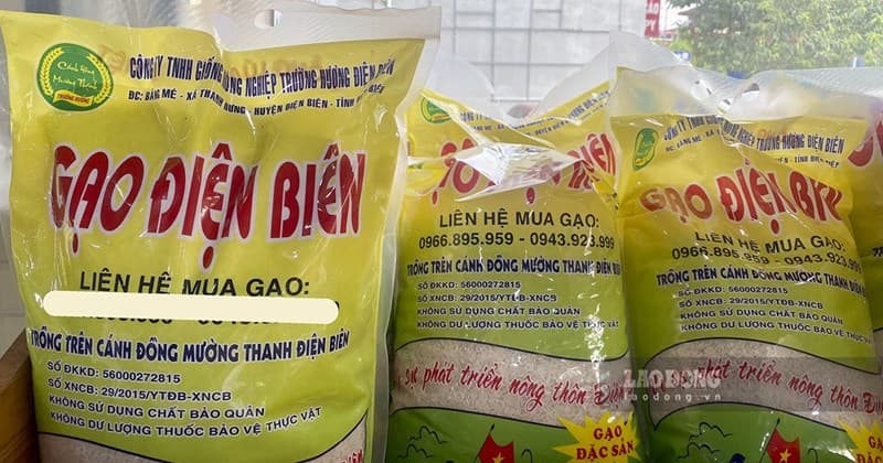 Gạo Điện Biên