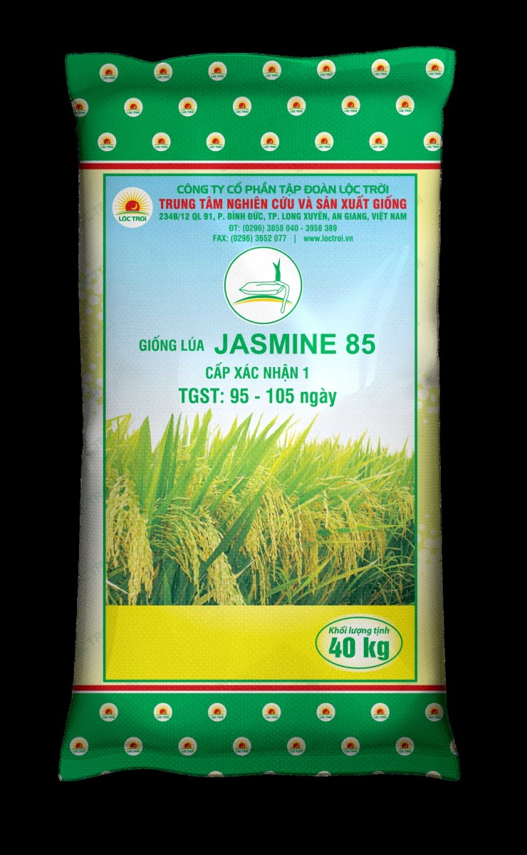 Gạo Jasmine 85