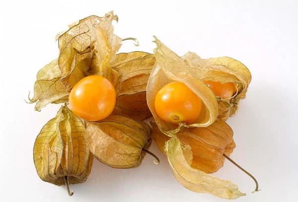 trái tầm bóp