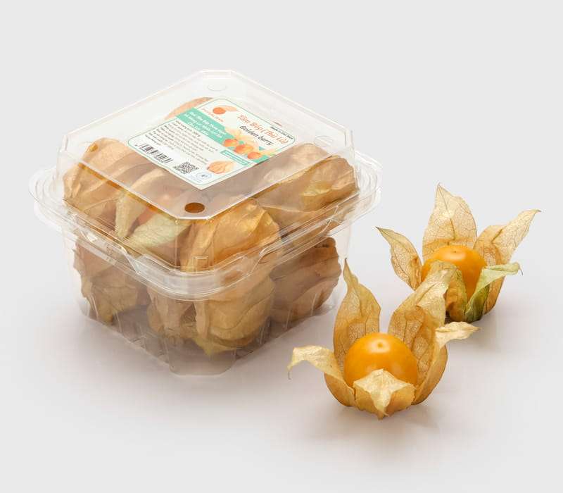 Tr&aacute;i tầm b&oacute;p tươi